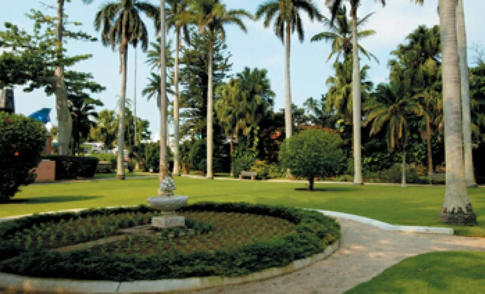 Green space with monument in the middle and palm trees in the background