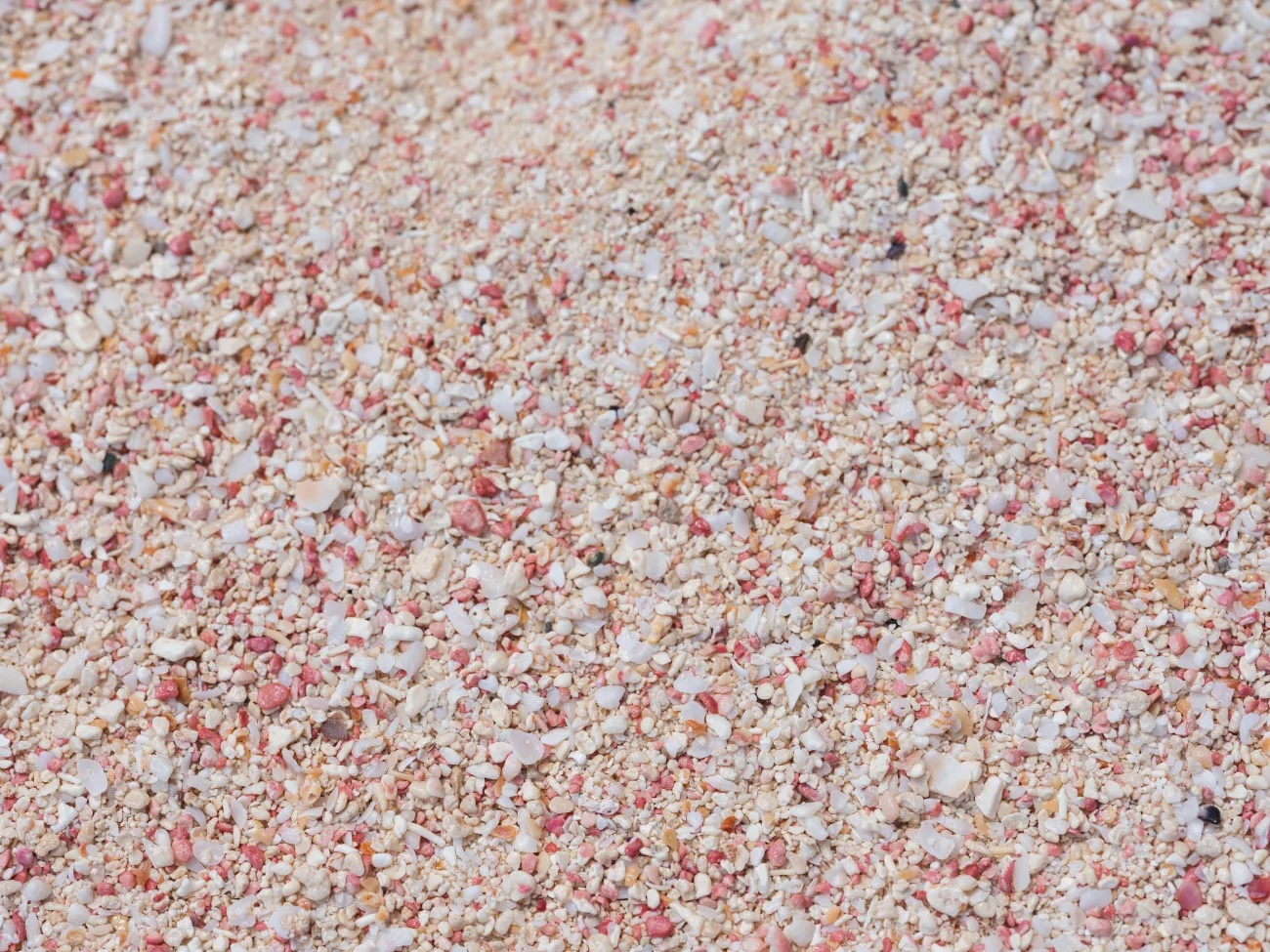 Warwick long bay pink beach.