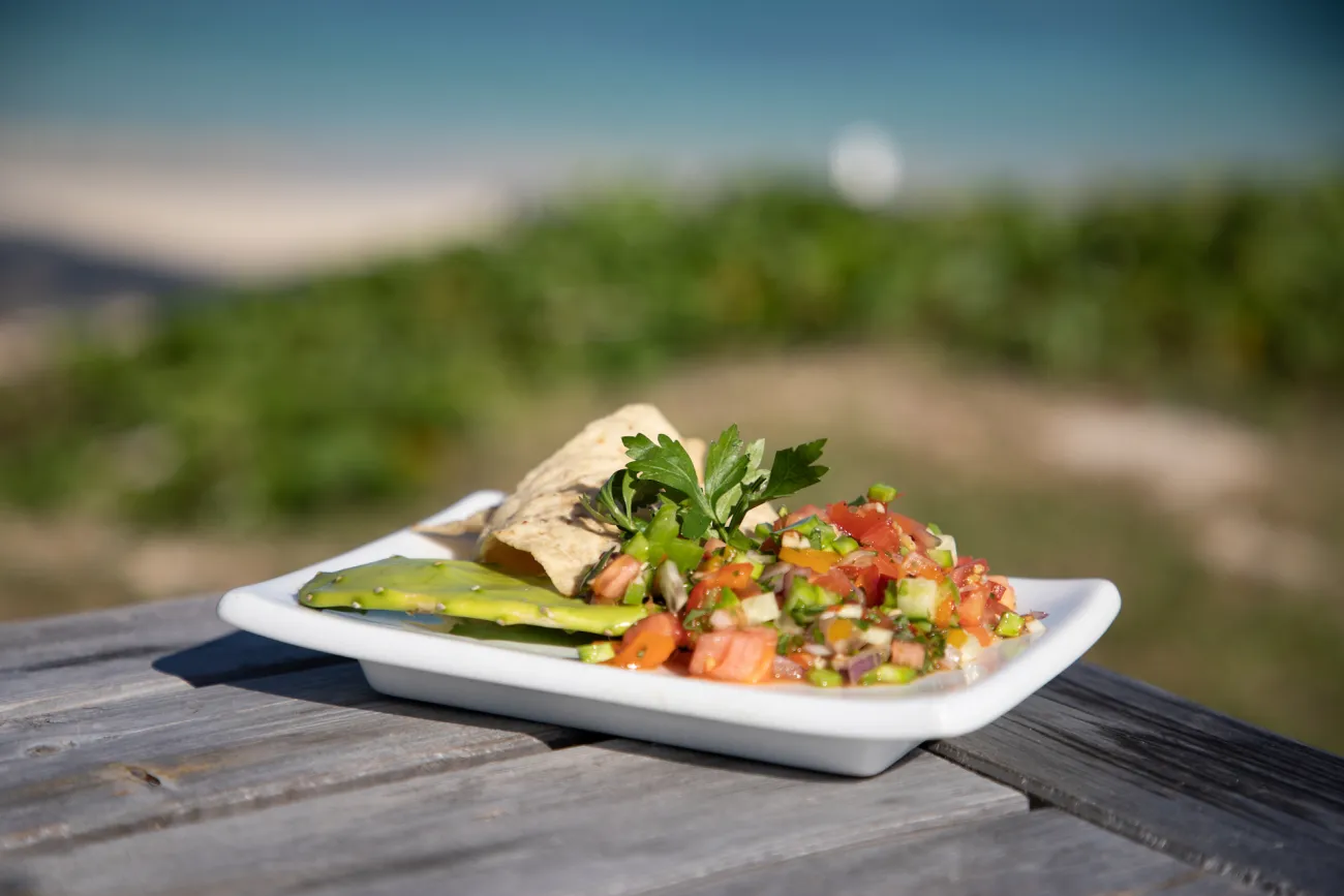 Wild Herbs & Plants of Bermuda