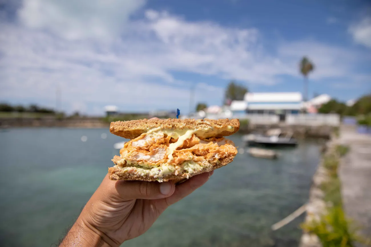 A person is holding a fish sandwich by the water. 