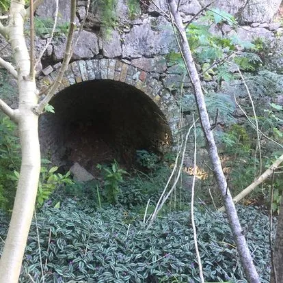 Taste The Wild Edible Flavours Of Bermuda