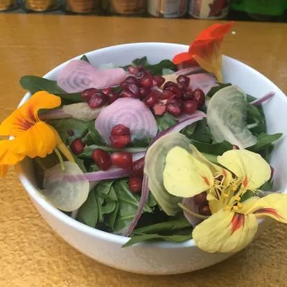 Taste The Wild Edible Flavours Of Bermuda